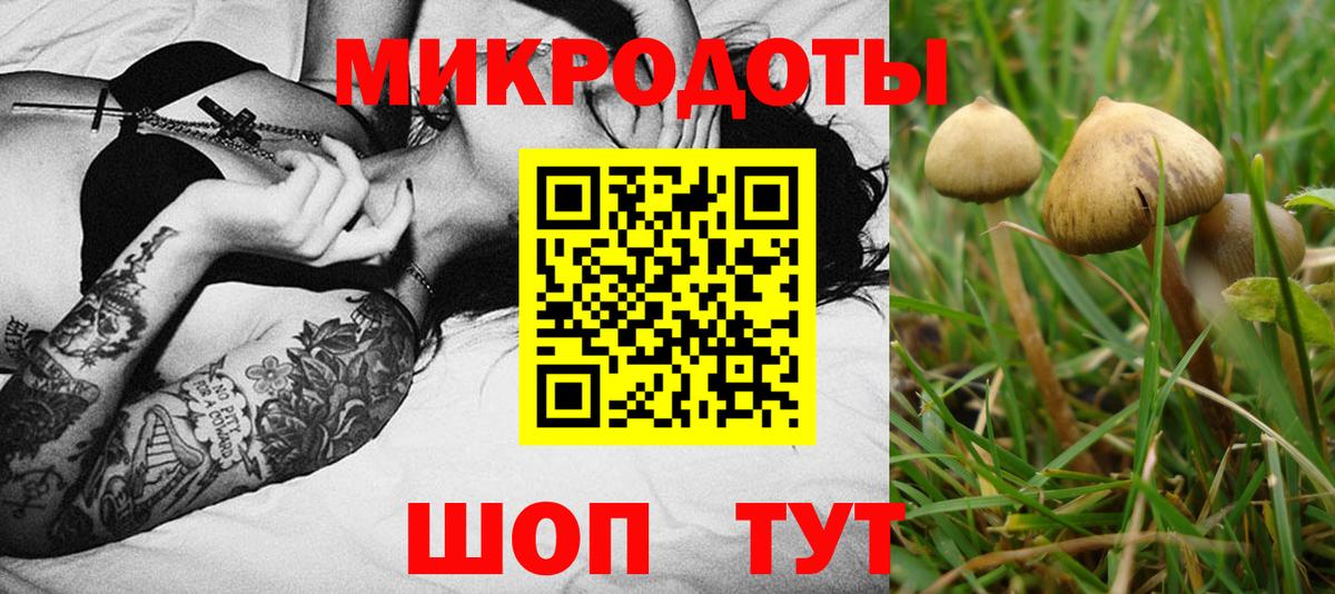 Псилоцибиновые грибы Magic Shrooms  Вход с VPN  Прохладный 